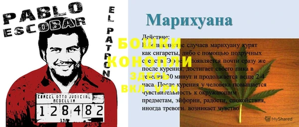 гидропоника Армянск