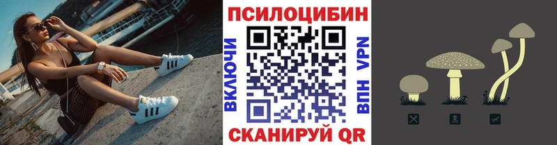 Псилоцибиновые грибы Psilocybine cubensis  Ржев 